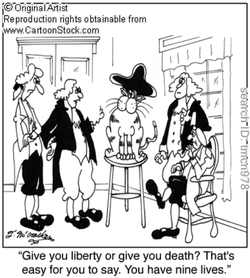 Image result for political cartoons about the declaration of independence